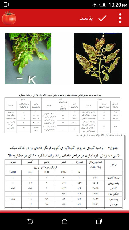 اسکرین شات 8 برنامه دانشنامه کشت گوجه فرنگی