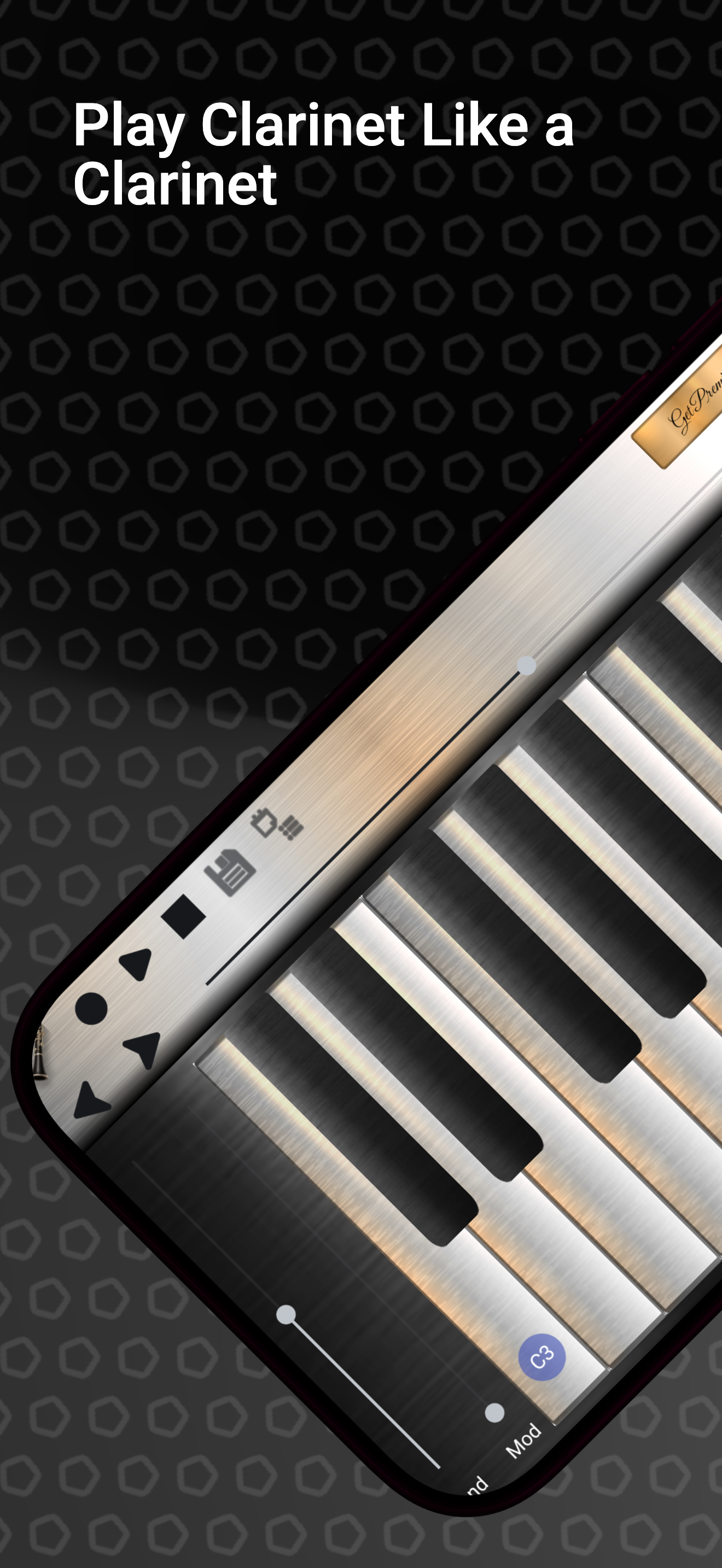 اسکرین شات 1 بازی Professional Clarinet