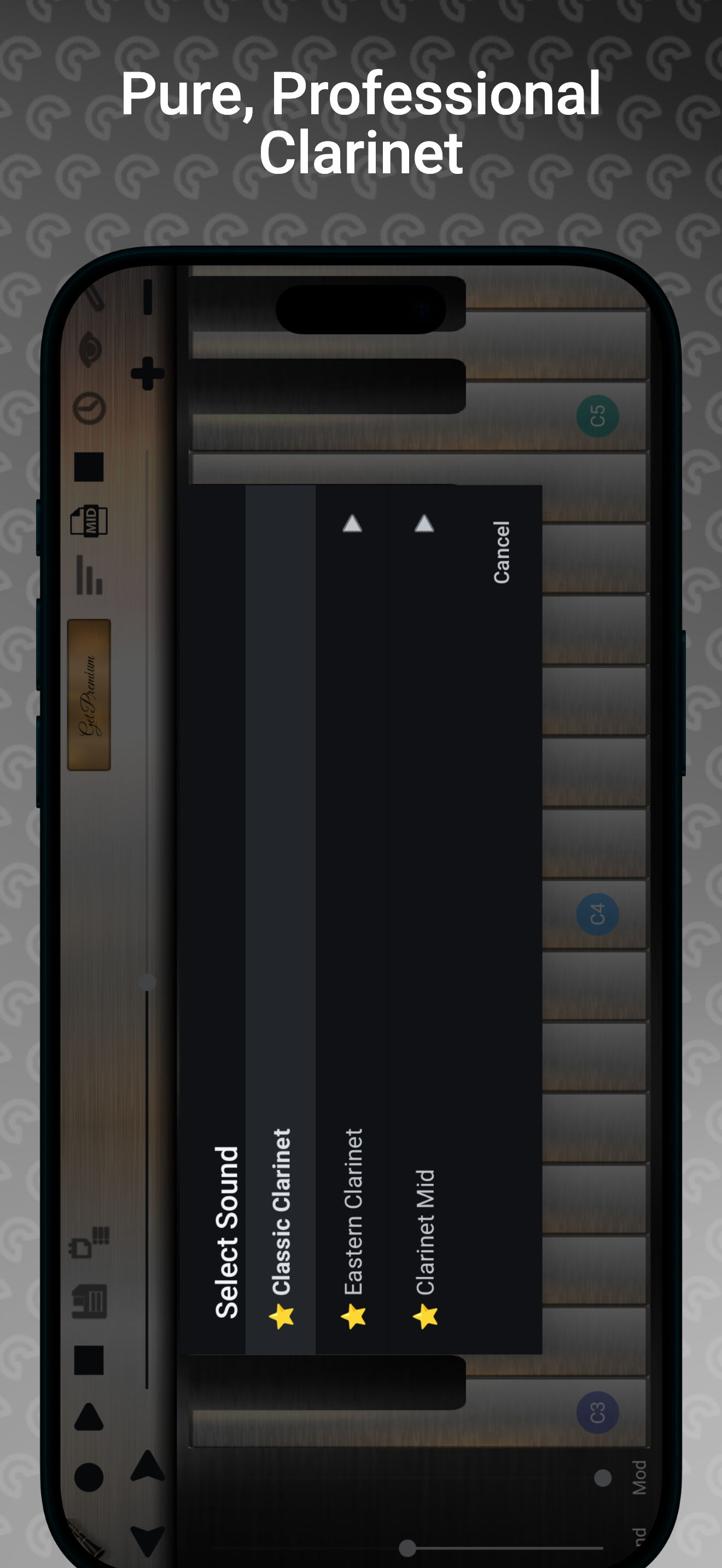 اسکرین شات 6 بازی Professional Clarinet