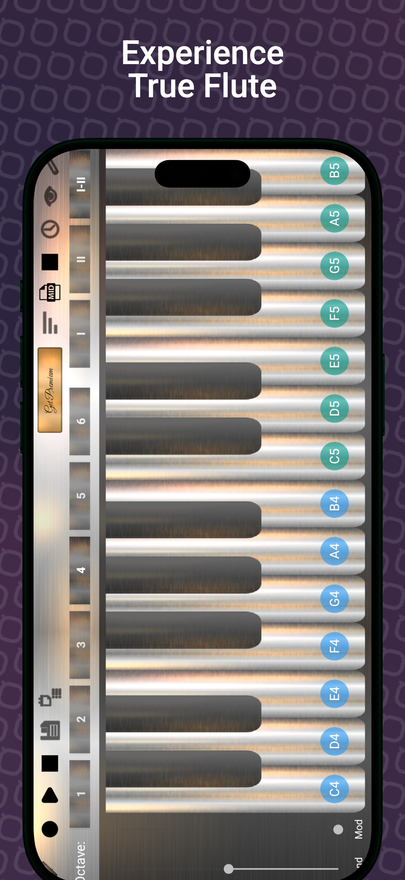 اسکرین شات 8 بازی Professional Flute