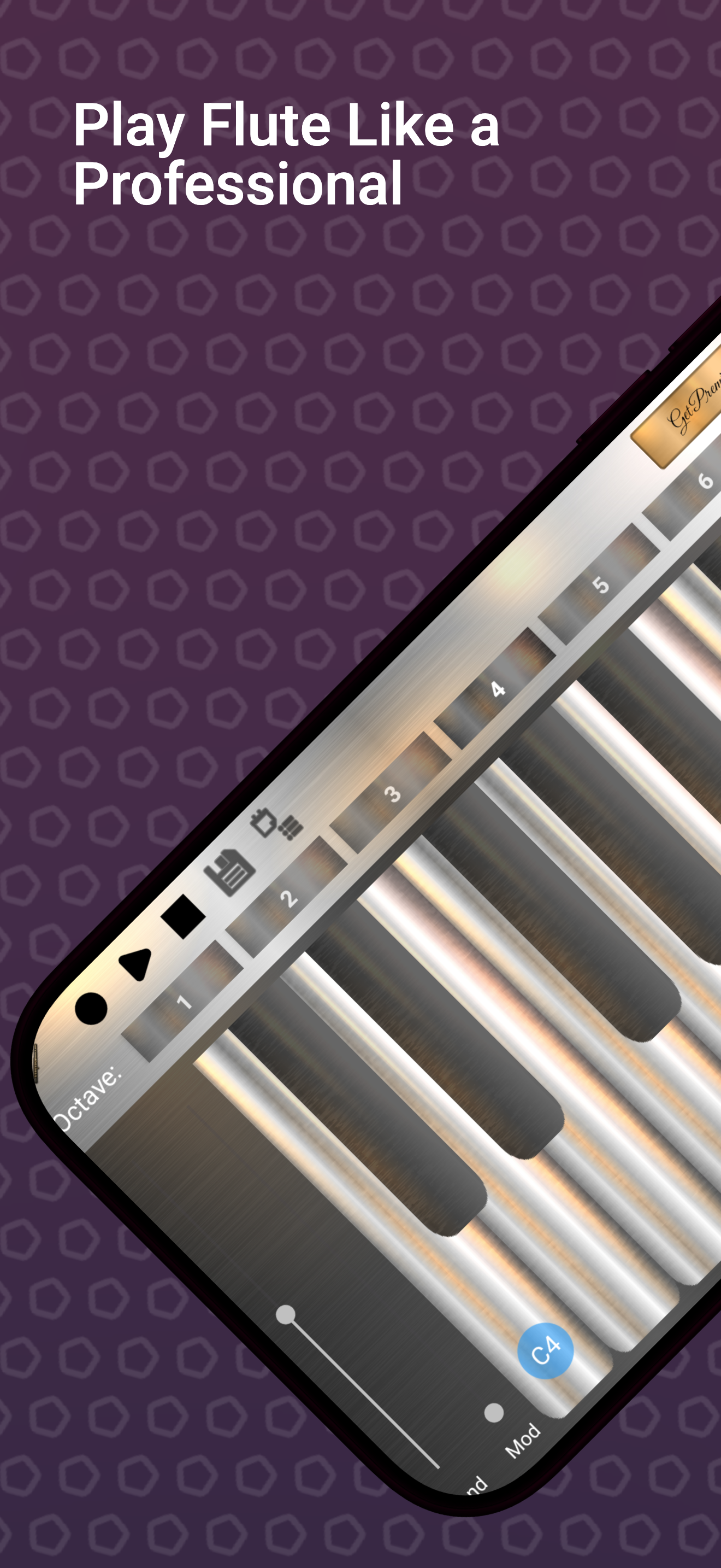 اسکرین شات 1 بازی Professional Flute