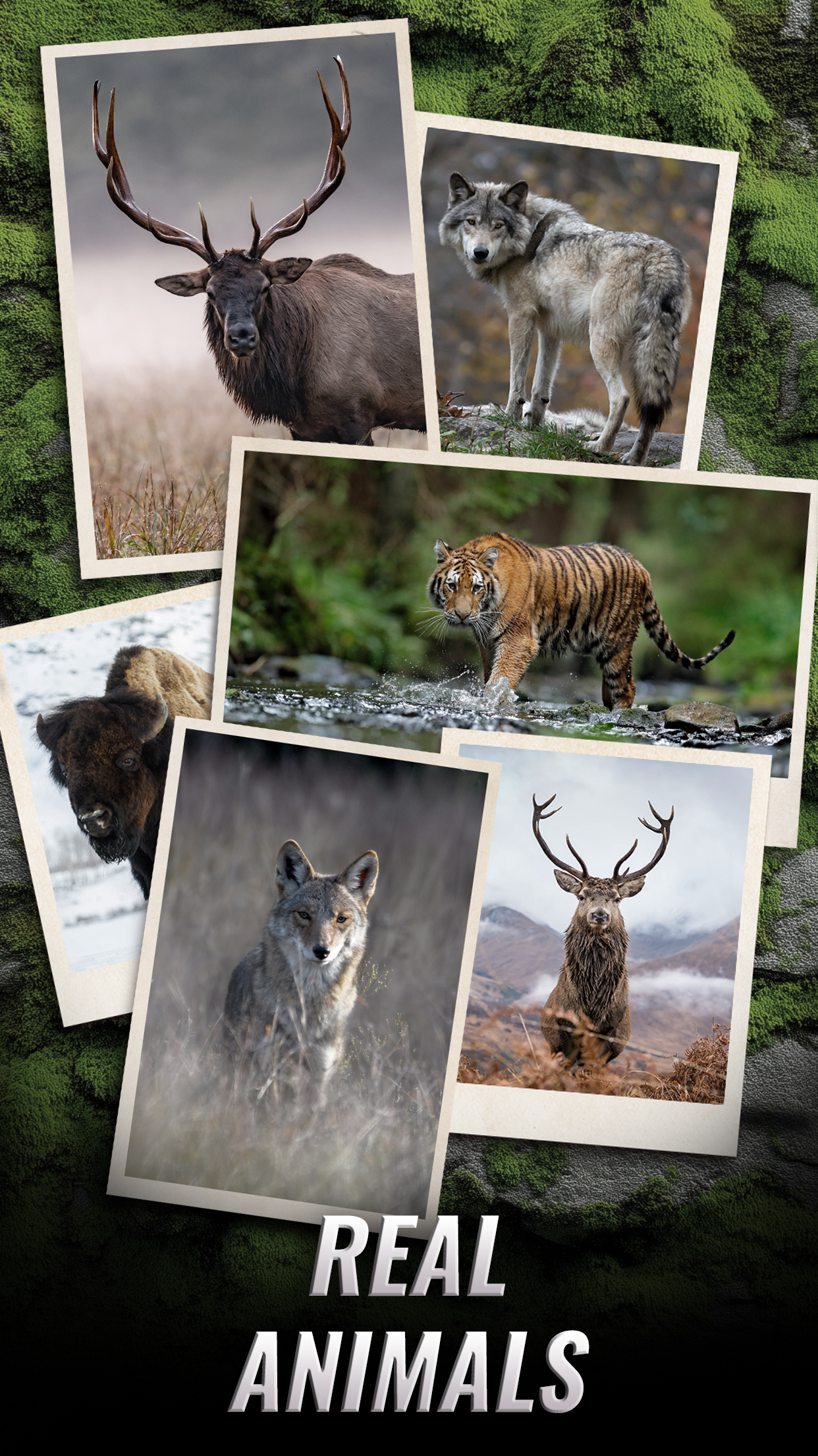 اسکرین شات 1 بازی Trophy Hunter – Hunting Game