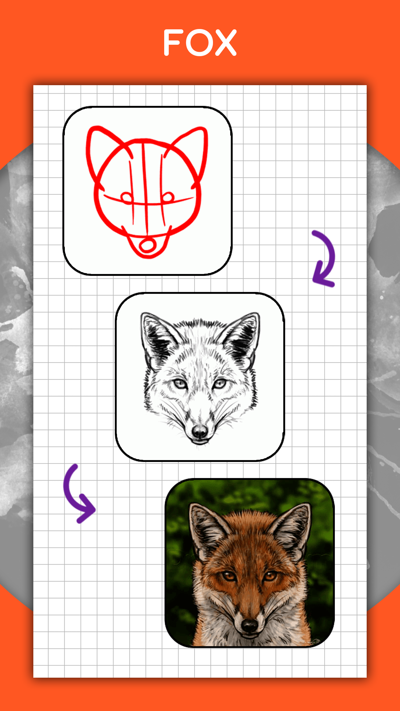 اسکرین شات 4 برنامه How to draw animals by steps