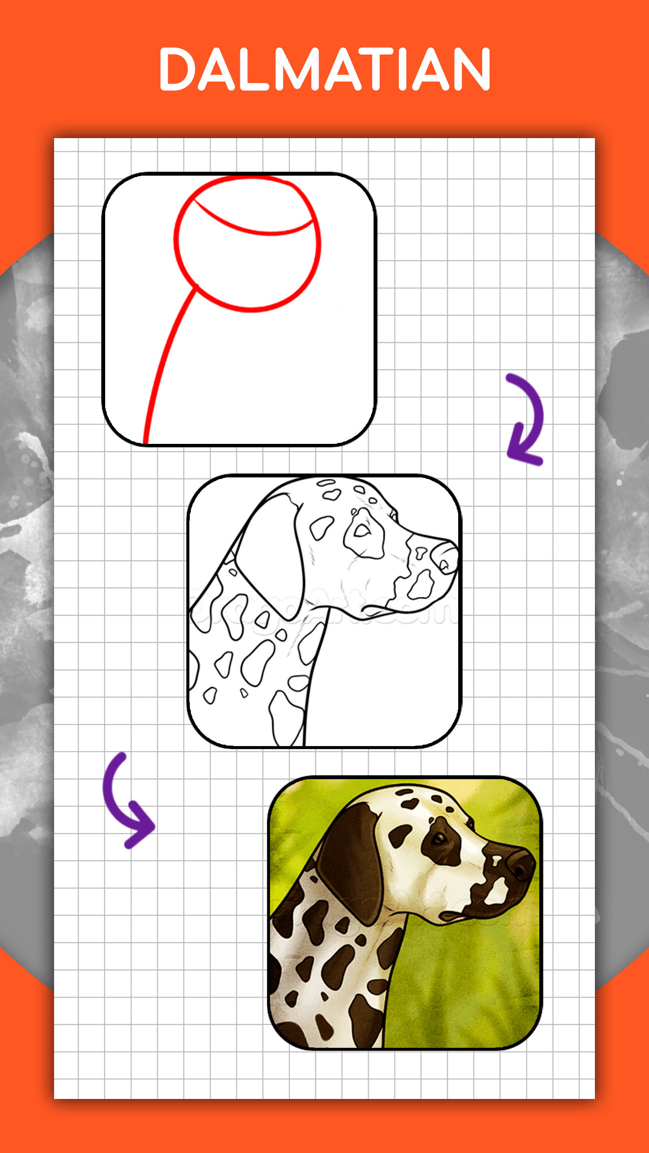 اسکرین شات 5 برنامه How to draw animals by steps