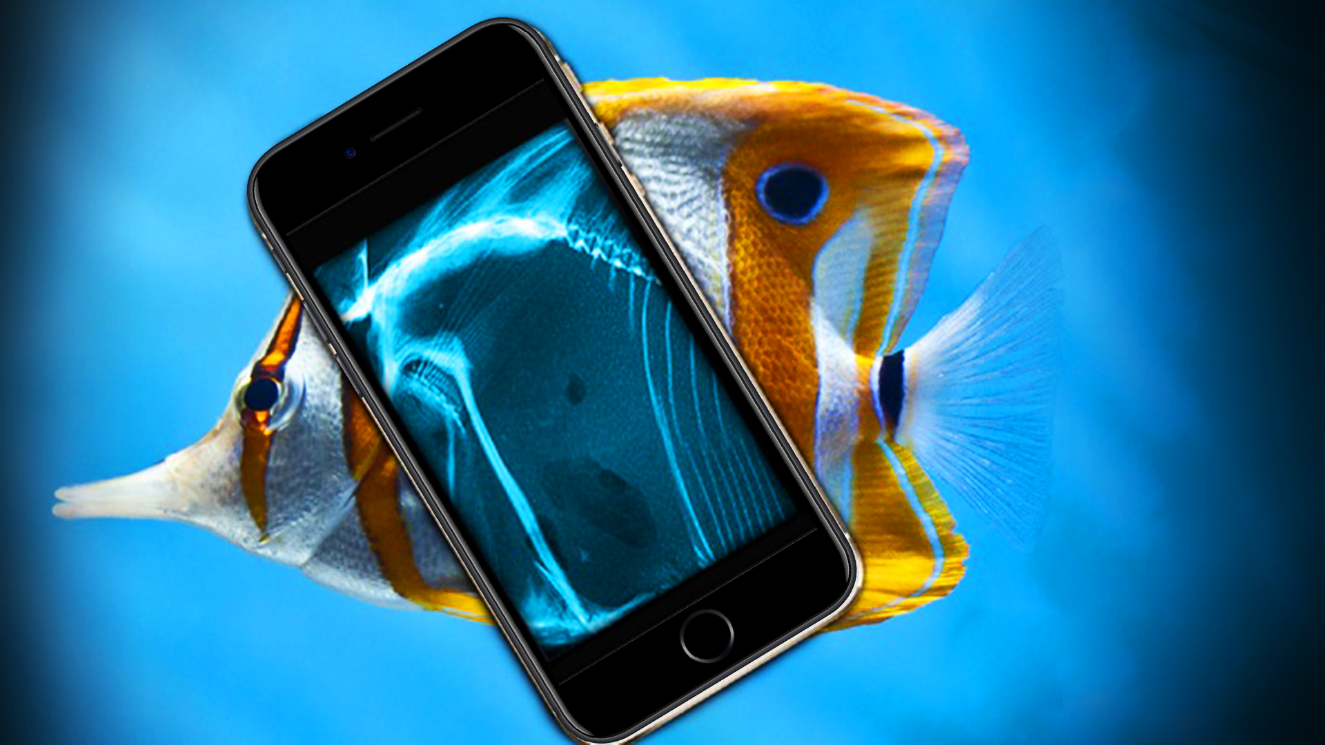 اسکرین شات 3 برنامه xray scanner photo filter