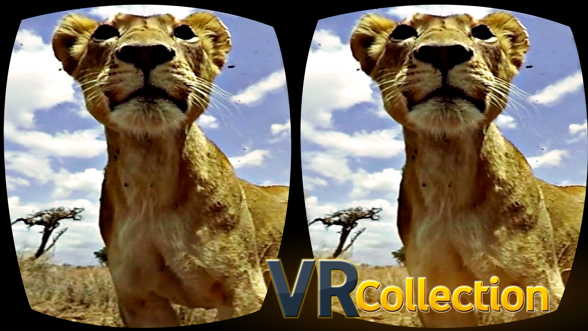 اسکرین شات 4 برنامه Pack of VR videos