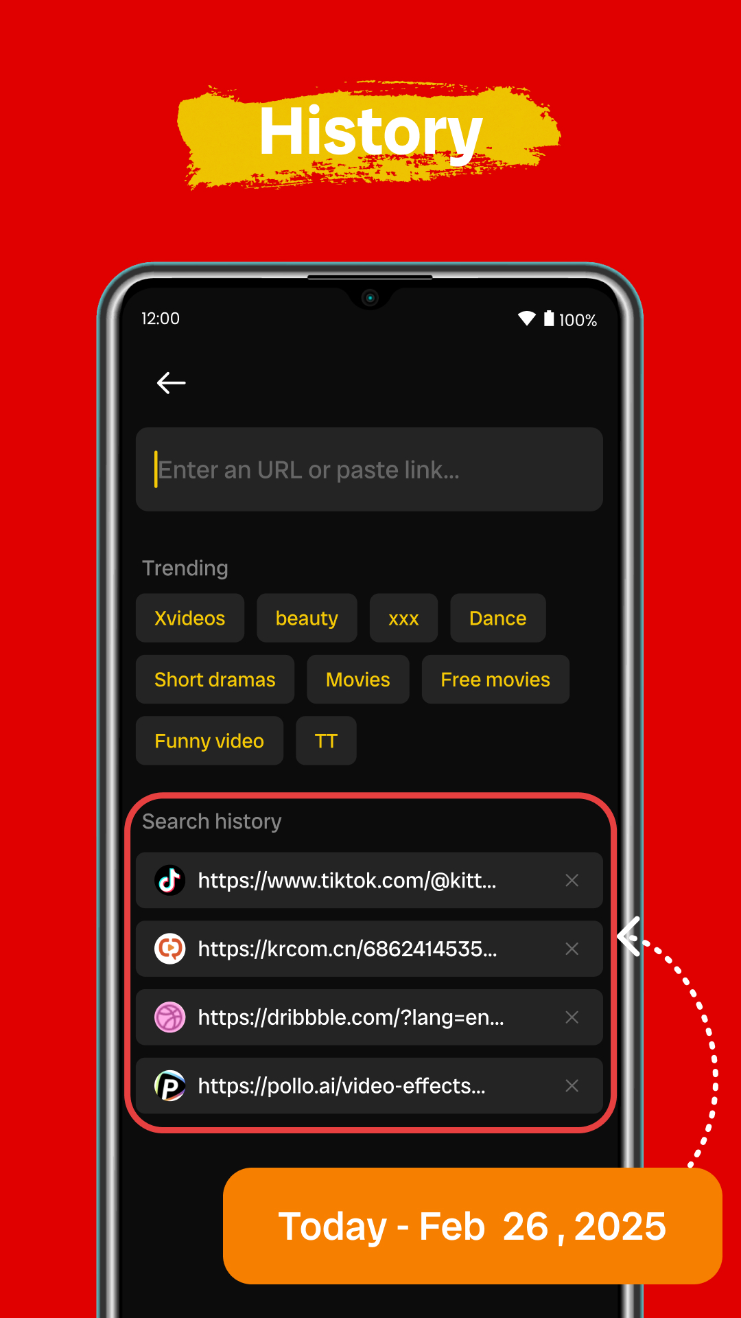 اسکرین شات 2 برنامه Video Downloader Browser