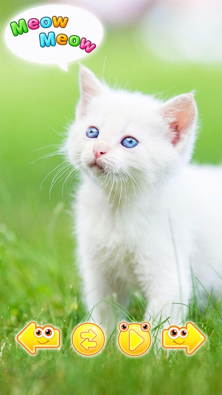 اسکرین شات 1 بازی Cute animal pictures & animal