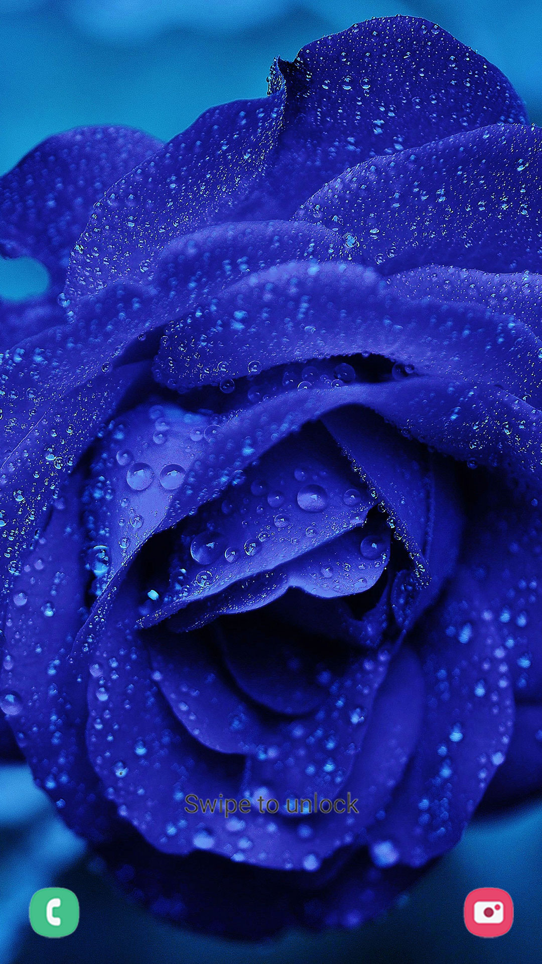 اسکرین شات 4 برنامه Flower Wallpapers