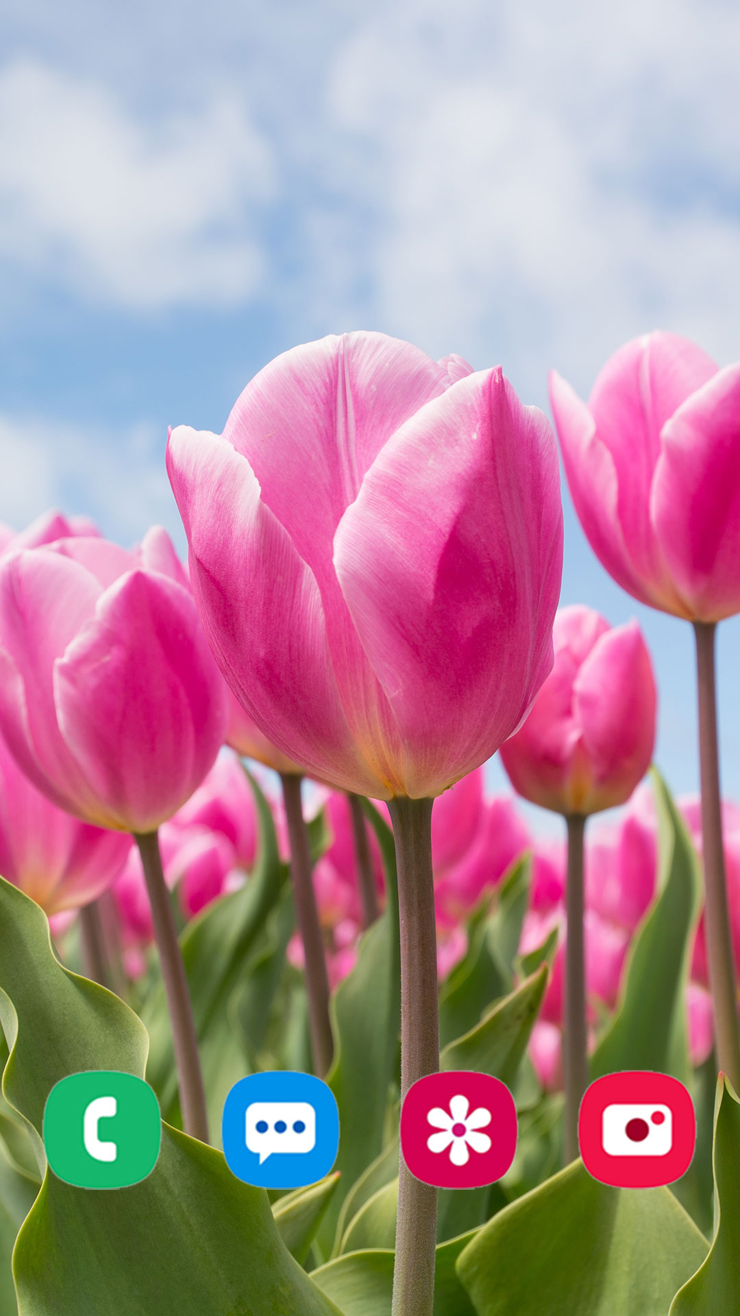 اسکرین شات 1 برنامه Flower Wallpapers