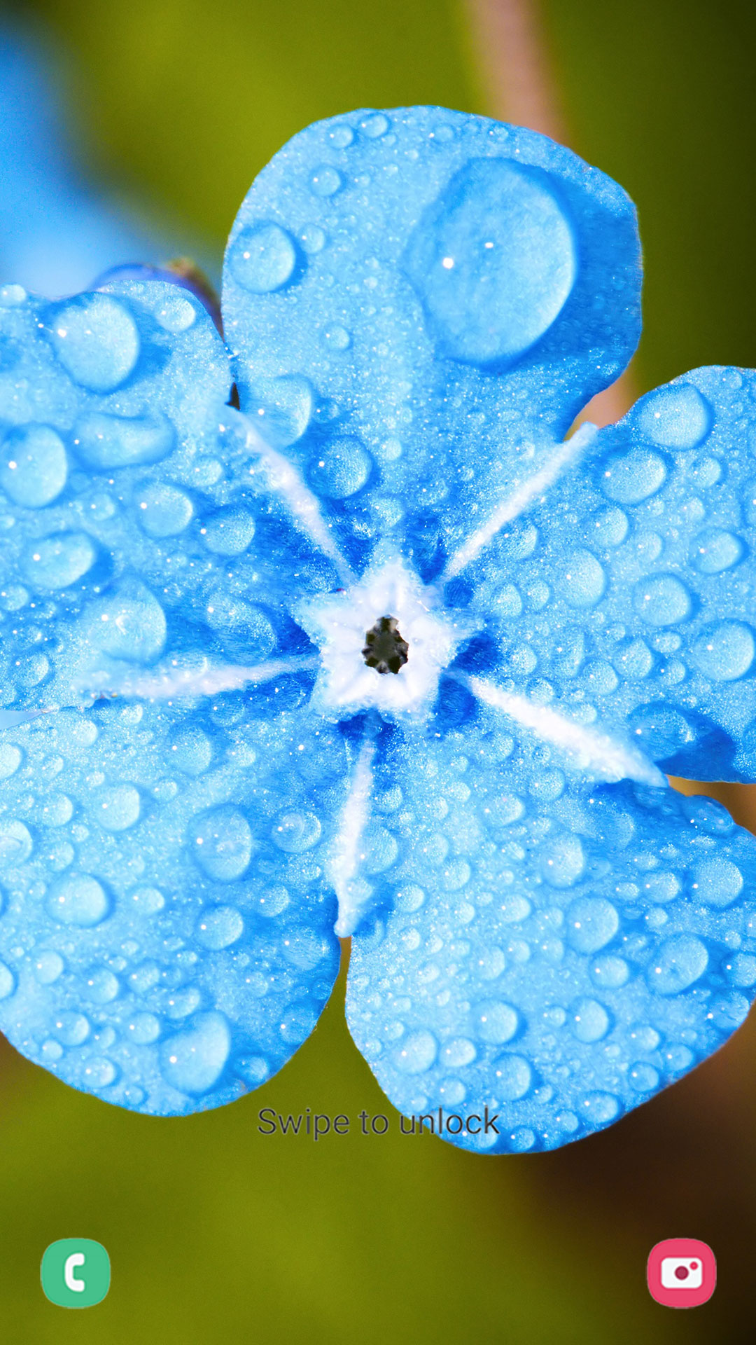 اسکرین شات 2 برنامه Flower Wallpapers