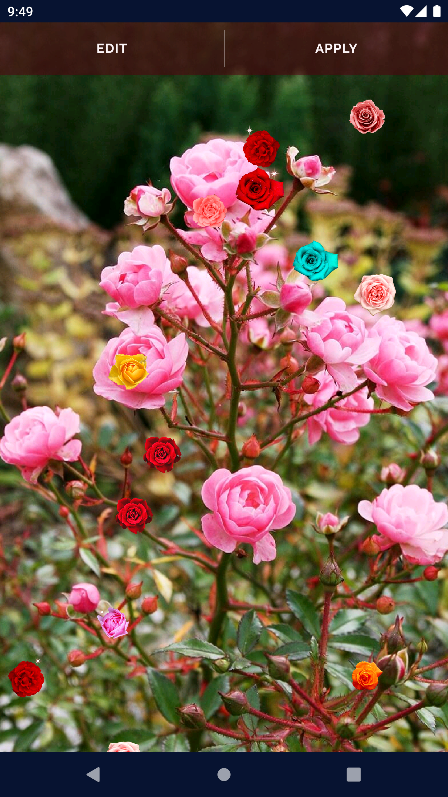 اسکرین شات 6 برنامه Red Rose Live Wallpaper