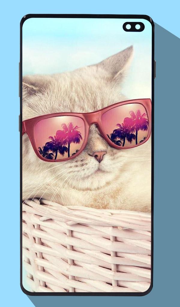 اسکرین شات 4 برنامه Cute Cat Wallpapers
