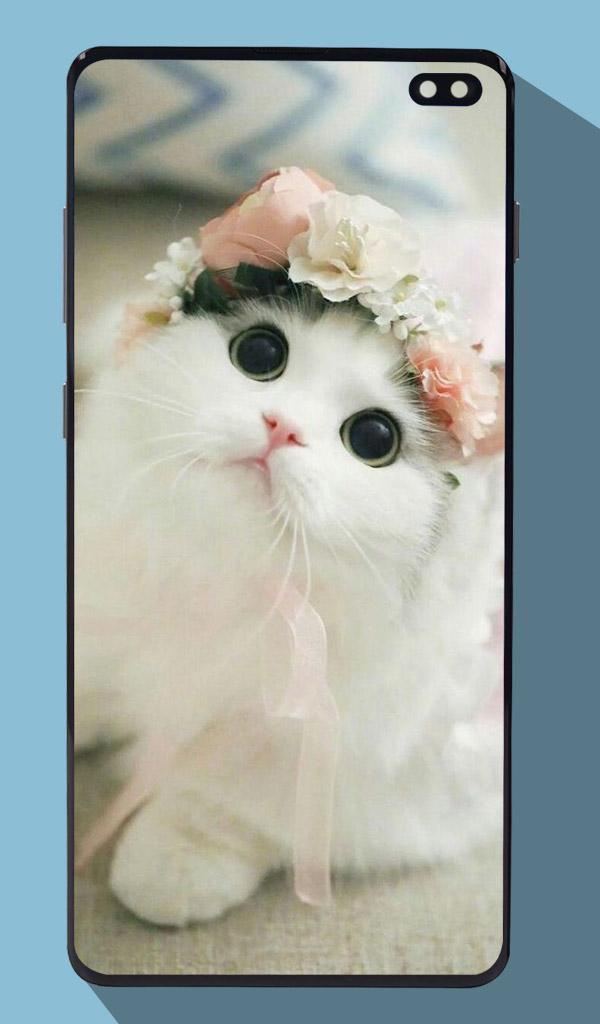 اسکرین شات 6 برنامه Cute Cat Wallpapers