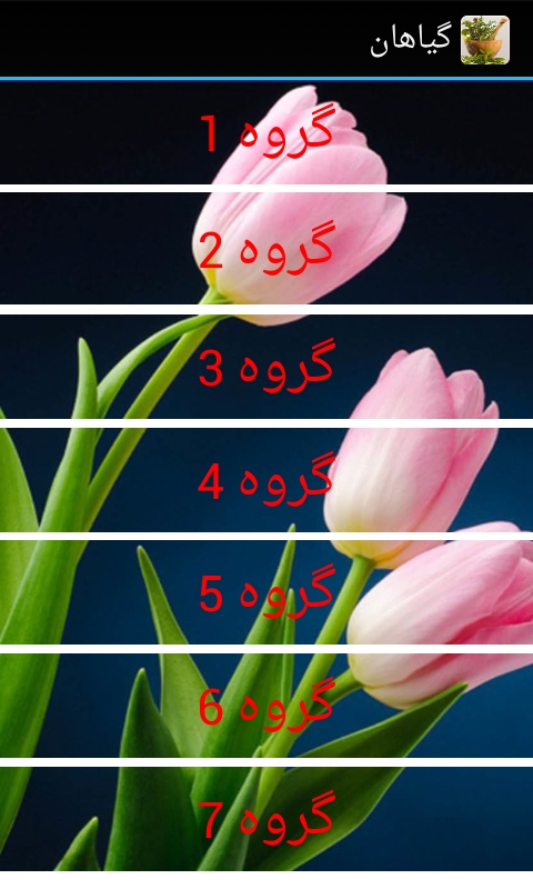 اسکرین شات برنامه خواص دارویی گیاهان 2