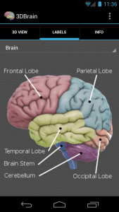 اسکرین شات برنامه 3D Brain 3