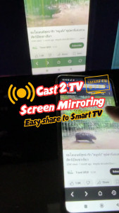 اسکرین شات 4 برنامه Cast2TV screen mirroring assis
