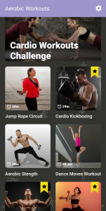 اسکرین شات 1 برنامه Aerobics Workout at Home
