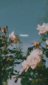 اسکرین شات 2 برنامه aesthetic vsco wallpapers