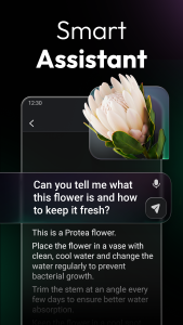 اسکرین شات 2 برنامه ChatOn - AI Chat Bot Assistant