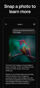 اسکرین شات 3 برنامه Grok - AI Assistant