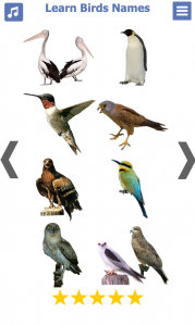 اسکرین شات برنامه Birds name in English 5