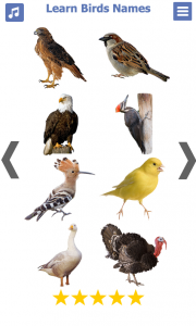اسکرین شات برنامه Birds name in English 3
