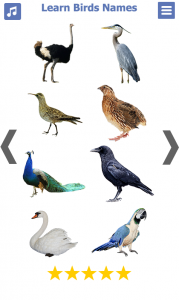 اسکرین شات برنامه Birds name in English 7