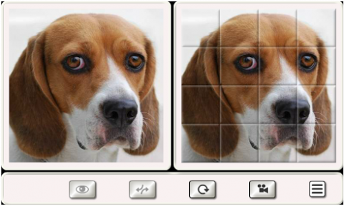 اسکرین شات برنامه Guess the Dog: Tile Puzzles 6