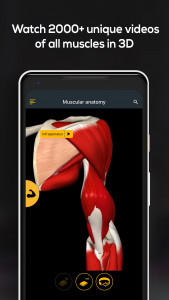 اسکرین شات برنامه Anatomy by Muscle & Motion 5