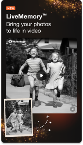 اسکرین شات 1 برنامه MyHeritage: Family Tree & DNA