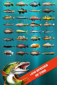 اسکرین شات 2 بازی Let's Fish: Fishing Simulator