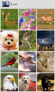 اسکرین شات برنامه عکس های زیبا از حیوانات 3