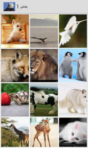 اسکرین شات برنامه عکس های زیبا از حیوانات 4
