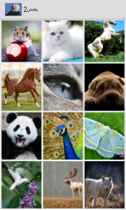 اسکرین شات برنامه عکس های زیبا از حیوانات 1