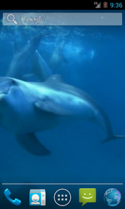 اسکرین شات برنامه Video Wallpapers: Amazing Dolphins HD 1