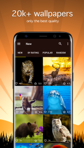 اسکرین شات برنامه Animal Wallpapers 4K 1