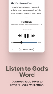 اسکرین شات 3 برنامه Holy Bible Offline NIV KJV App