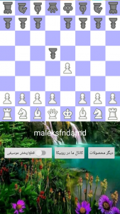 اسکرین شات بازی شطرنج دو نفره 2