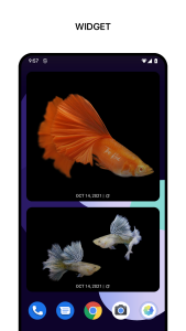 اسکرین شات 6 برنامه 1Gallery: Photo Gallery/Vault