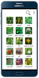 اسکرین شات برنامه داروخانه گیاهی: دارو و درمان 6