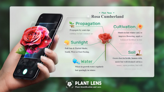 اسکرین شات برنامه Plant Lens Plant identifier 1