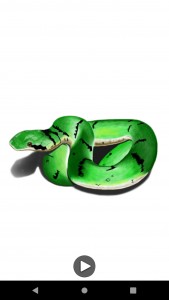اسکرین شات 8 برنامه How to Draw Animals 3D