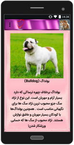 اسکرین شات برنامه معرفی و تربیت سگ خانگی 3
