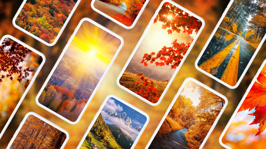 اسکرین شات برنامه Autumn Wallpapers 4K 1
