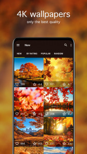 اسکرین شات برنامه Autumn Wallpapers 4K 2