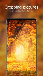 اسکرین شات 4 برنامه Autumn Wallpapers 4K