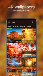 اسکرین شات 2 برنامه Autumn Wallpapers 4K