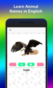 اسکرین شات 4 برنامه Sounds of Animals & Birds