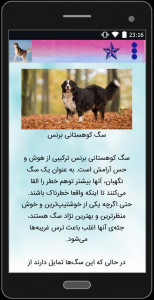 اسکرین شات برنامه آشنایی با نژاد سگ ها 4